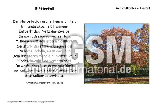 Blätterfall-Morgenstern.pdf